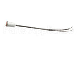 10-5991 Market Forge Pilot Light