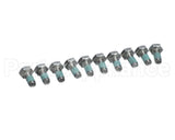 10.00.698P Rational Hex Screw M6X12 W. Precoat 85