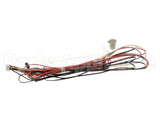 1000002444 Elkay Kit, Thermistor/Rfid Harness