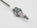 10002219-1 Eclipse Ionization Flame Sensor