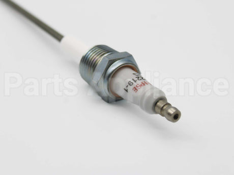 10002219-1 Eclipse Ionization Flame Sensor