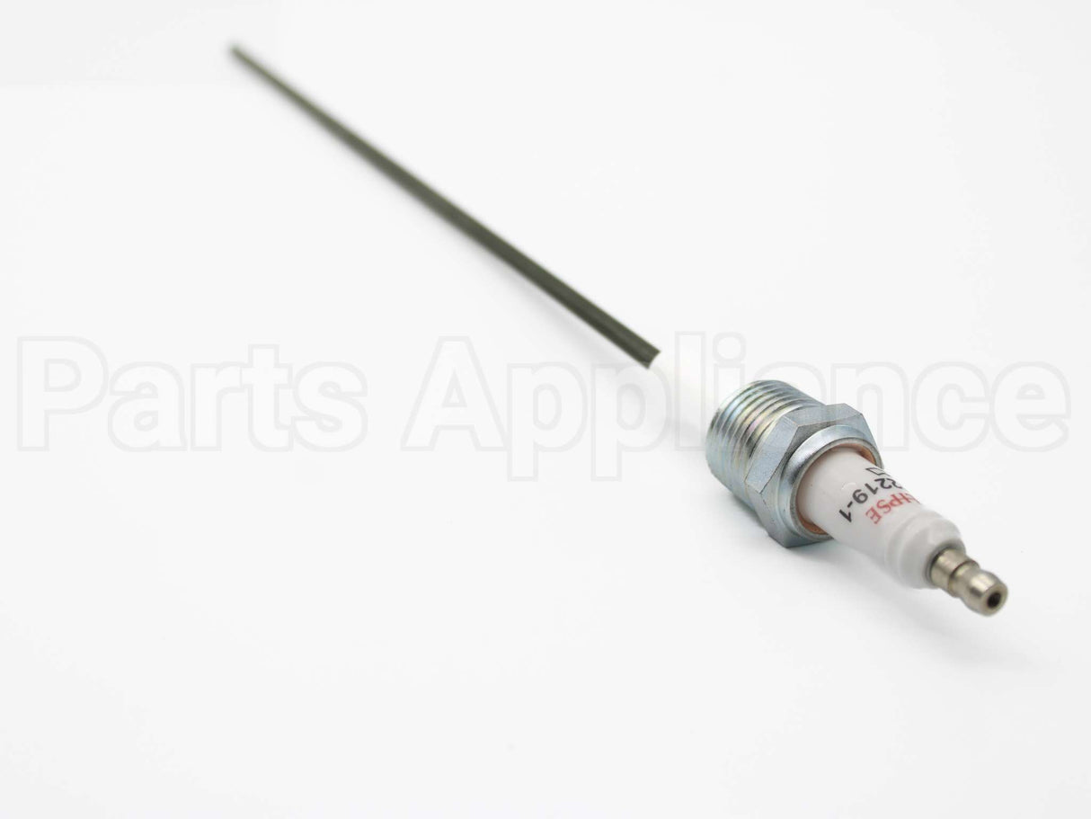 10002219-1 Eclipse Ionization Flame Sensor