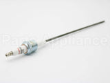 10002219-1 Eclipse Ionization Flame Sensor