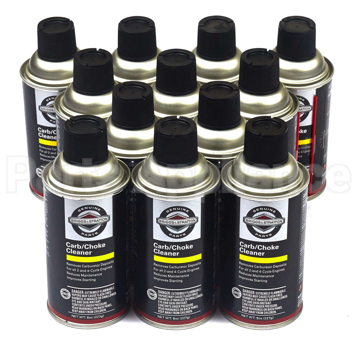 100041 Briggs & Stratton 8Oz Carb Cleaner