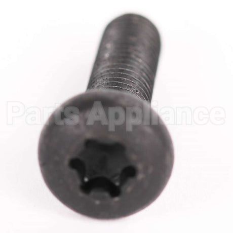 10004531 Bosch Screw
