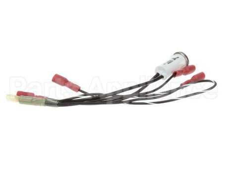 100051 Globe Indicator Lamp Assembly