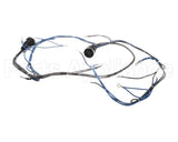 10005602 Lincoln Wireharness,Back,Y