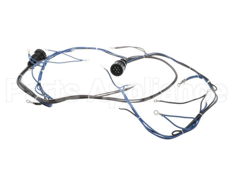 10005602 Lincoln Wireharness,Back,Y
