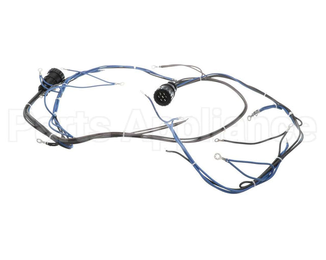 10005602 Lincoln Wireharness,Back,Y