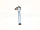 10006471 Bosch Electrode