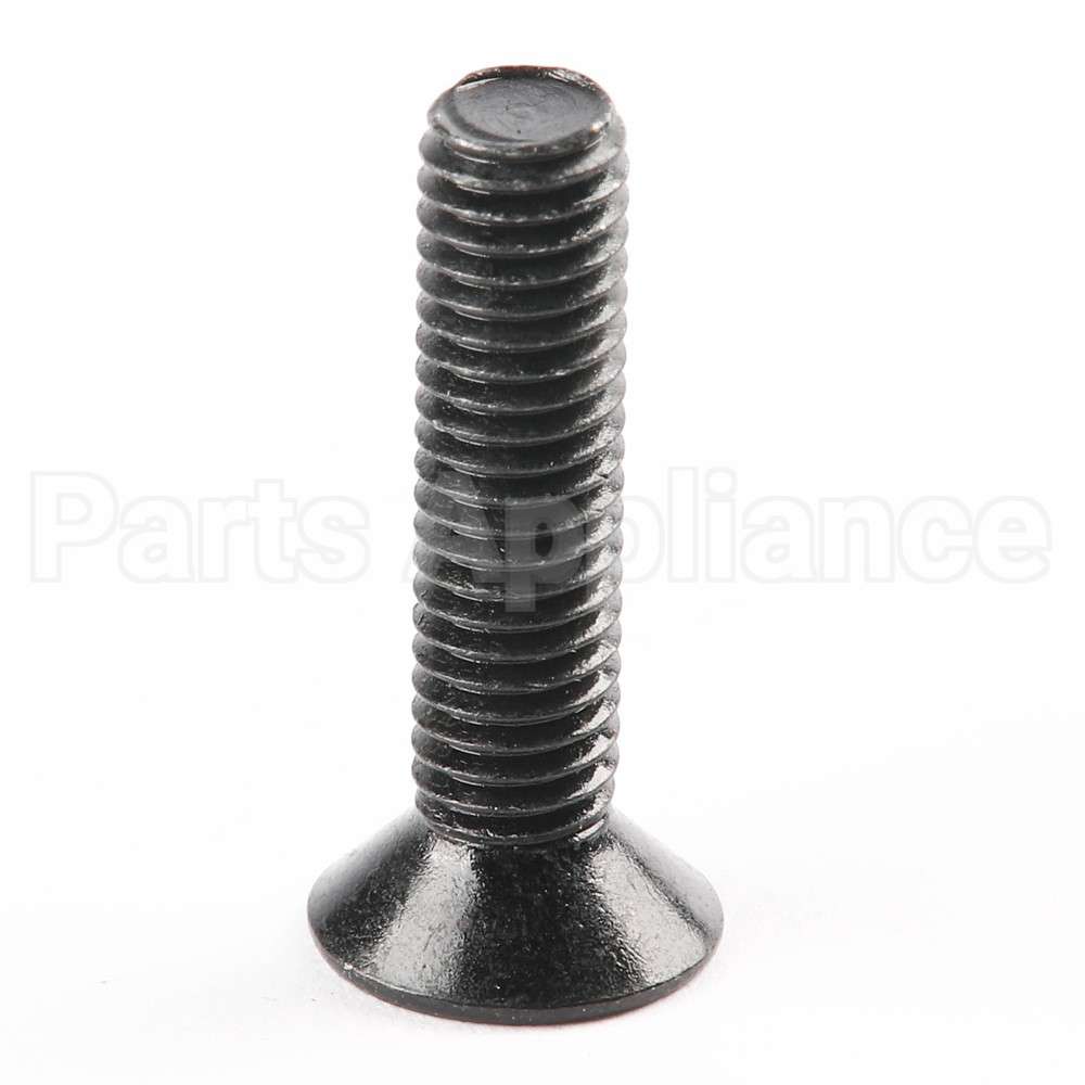 10007320 Bosch Screw