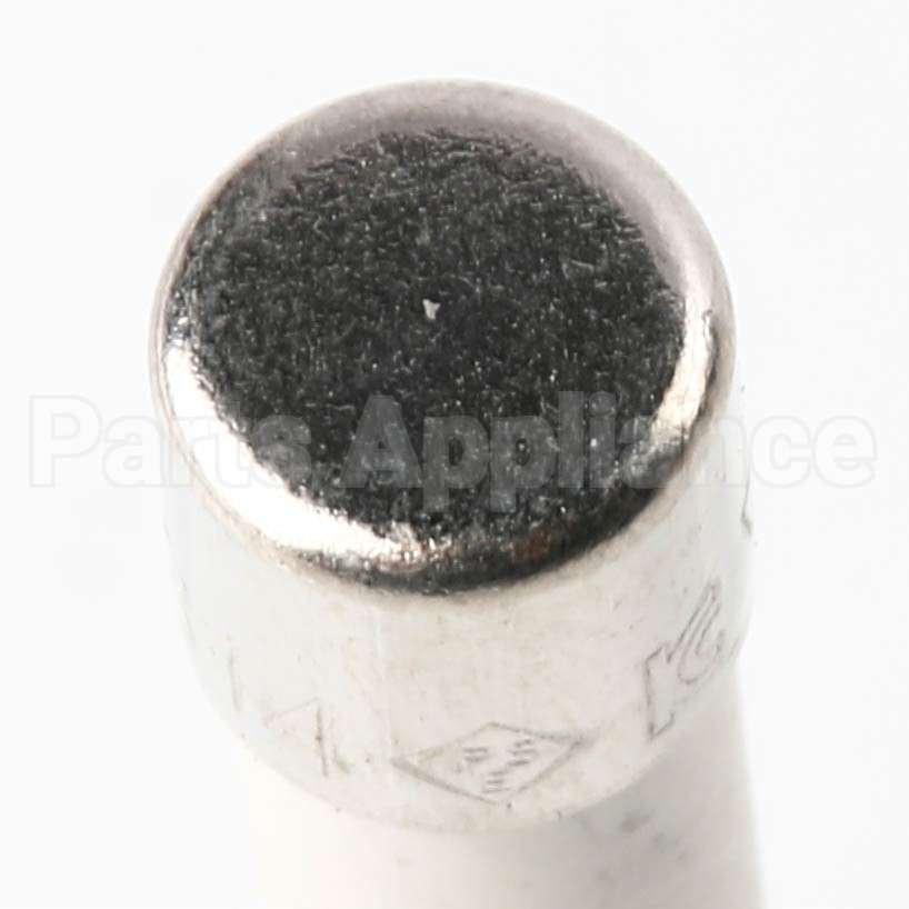 10008215 Bosch Fuse