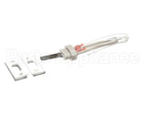 100093631 Polaris Water Heater Igniter Kit Includes:gasket Br