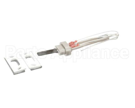 100093631 Polaris Water Heater Igniter Kit Includes:gasket Br