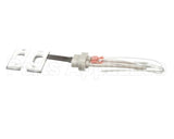 100093631 Polaris Water Heater Igniter Kit Includes:gasket Br