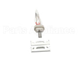100093631 Polaris Water Heater Igniter Kit Includes:gasket Br
