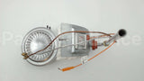 100109201 Lochinvar & A.o. Smith Nat Fv Burner Assy #33 Orf