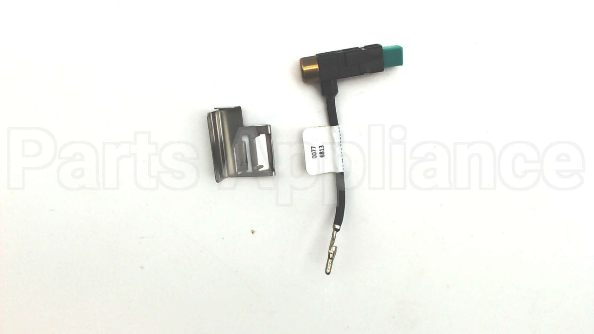 100109221 Lochinvar & A.o. Smith Piezo Ignitor W/Bracketassy