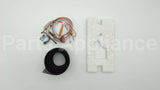 100109290 Lochinvar & A.o. Smith 180 Deg C Pilot Assembly Fv