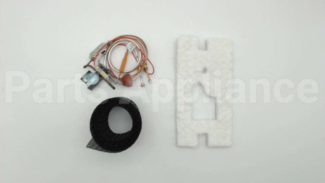 100109290 Lochinvar & A.o. Smith 180 Deg C Pilot Assembly Fv