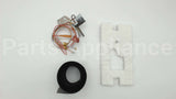 100109290 Lochinvar & A.o. Smith 180 Deg C Pilot Assembly Fv