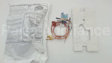 100109295 Lochinvar & A.o. Smith 190 Deg C Pilot Assembly Fv