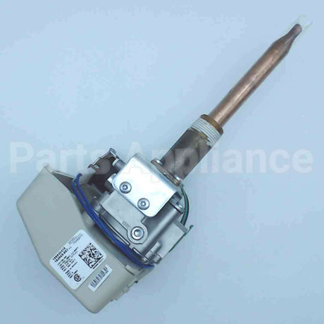 100109868 Lochinvar & A.o. Smith 120V 1/2# Ng Valve184960-002