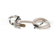 100109928 Lochinvar Lp Pilot Assembly