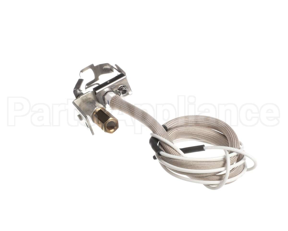 100109928 Lochinvar Lp Pilot Assembly