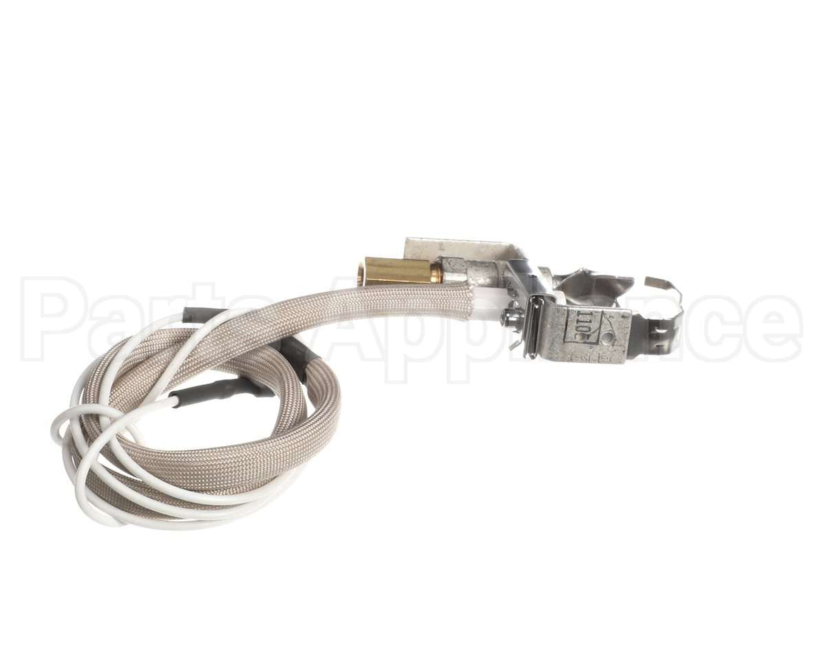 100109928 Lochinvar Lp Pilot Assembly