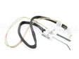 100109978 Lochinvar & A.o. Smith Ignitor Assembly