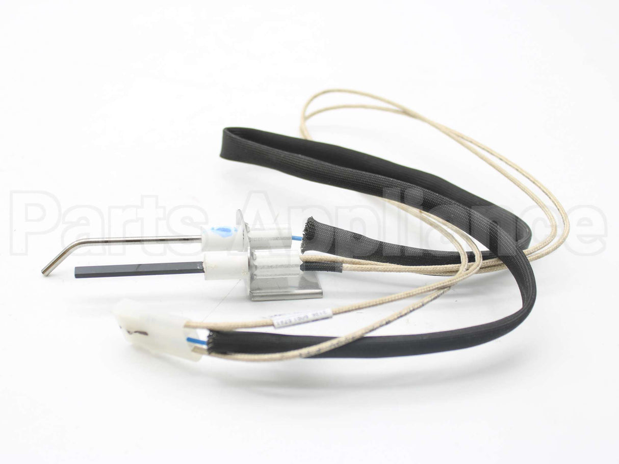 100109978 Lochinvar & A.o. Smith Ignitor Assembly