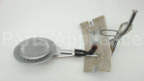 100110754 Lochinvar & A.o. Smith Nat Burner Assy #32 Orf