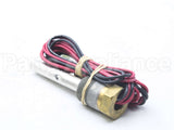 100110951 Lochinvar & A.o. Smith Probe Eco/Thermostat