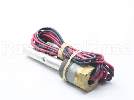 100110951 Lochinvar & A.o. Smith Probe Eco/Thermostat