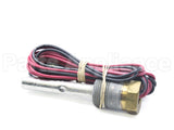 100110951 Lochinvar & A.o. Smith Probe Eco/Thermostat