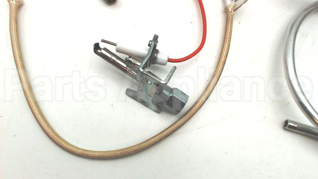 100111380 Lochinvar & A.o. Smith Natural Pilot Assy W/Tubing