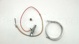 100111380 Lochinvar & A.o. Smith Natural Pilot Assy W/Tubing