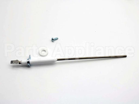 100113151 Lochinvar & A.o. Smith Flame Sensor Rod Kit