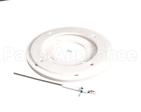 100113151 State Water Heater Flame Sensor