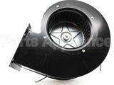 100137146 Lochinvar & A.o. Smith 115V Inducer Assy.