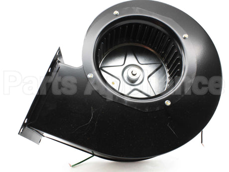 100137146 Lochinvar & A.o. Smith 115V Inducer Assy.