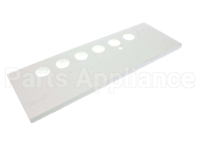 100145333 Lochinvar & A.o. Smith Insulation Front Panel