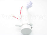100163244 Lochinvar & A.o. Smith Condensate Trap