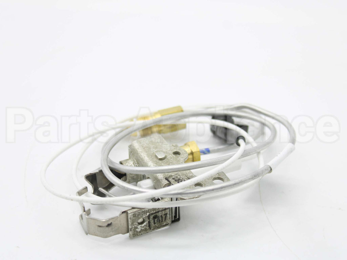 100165836 Lochinvar & A.o. Smith Pilot Assembly