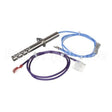 100165919 Lochinvar K,Igniter,W/Flame Rod Harness