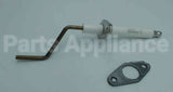 100165923 Lochinvar & A.o. Smith Flame Sensor With Gasket
