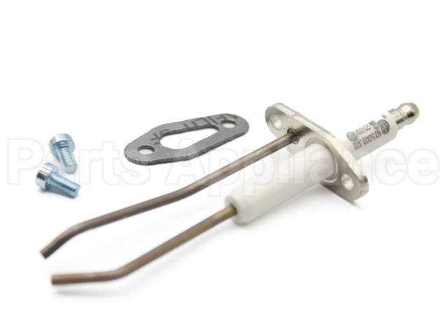 100165929 Lochinvar & A.o. Smith Ignitor W/Gasket