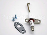 100165930 Lochinvar & A.o. Smith Flame Sensor W/ Gasket