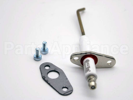 100165930 Lochinvar & A.o. Smith Flame Sensor W/ Gasket